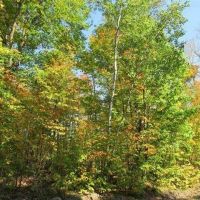Rural Recreational Property 50090432