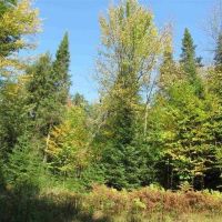 Rural Recreational Property 50090432 images 2