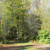 Rural Recreational Property 50090432 images 3