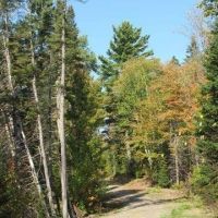 Rural Recreational Property 50090432 images 4