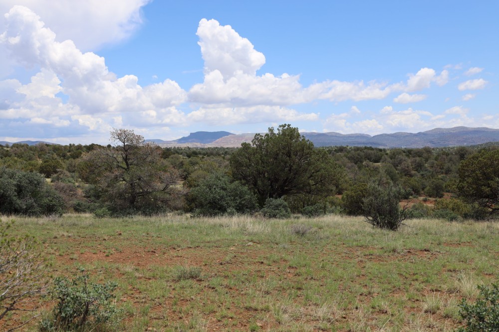 Wagon Ridge South featured image