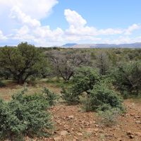 Wagon Ridge South images 2