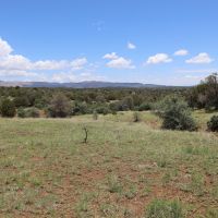 Wagon Ridge South images 3