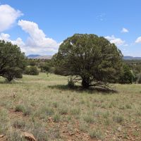 Wagon Ridge South images 4