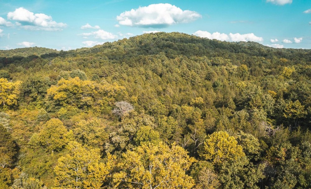 Big Branch 128 featured image