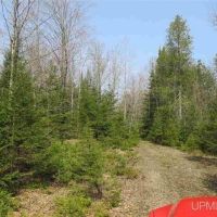 Wooded Mich 80 Acres 50074886 images 2