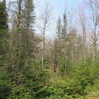 Wooded Mich 80 Acres 50074886 images 3