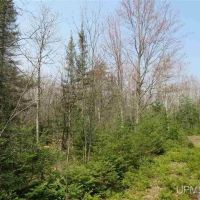 Wooded Mich 80 Acres 50074886 images 4