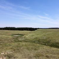Black Forest 105 images 3