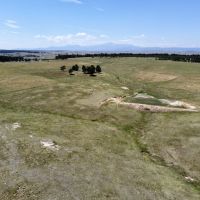 Black Forest 105 images 4