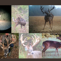 High Fence Ranch and Lodge for Sale Richland Parish LA images 4