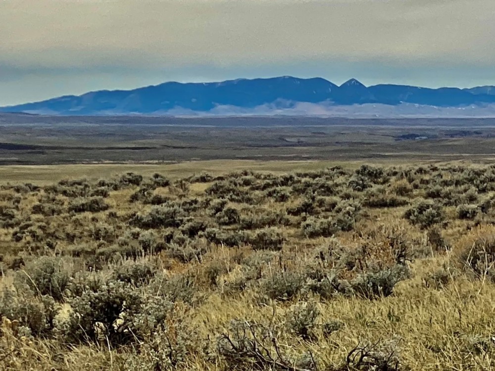 Recreational Paradise Hunting in Roy MT featured image