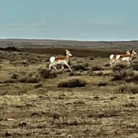 Recreational Paradise Hunting in Roy MT images 2