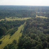 Peach Belt images 4