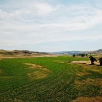 Alluring Yellowstone Estate Montana images 2