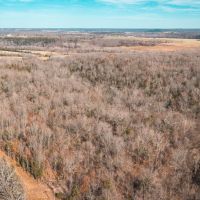 Acorn Acres images 2