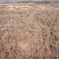 Acorn Acres images 4