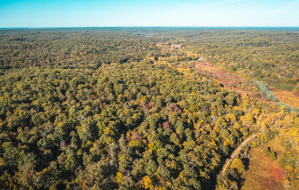 Palmer Lake Acres featured image