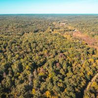 Palmer Lake Acres