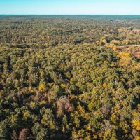Palmer Lake Acres images 2