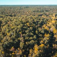 Palmer Lake Acres images 3