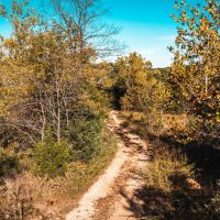 Palmer Lake Acres images 4