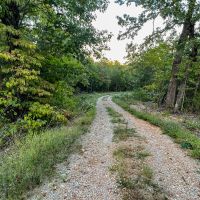 Cave Hollow images 4