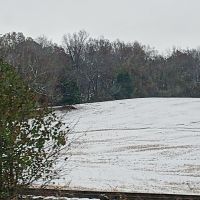 Close to town 13 acres have a camper on it welcome to bring your own.