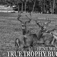 Trophy Whitetail Deer Hunting and Trophy Elk Hunting at Hunt Mill Hollow Ranch