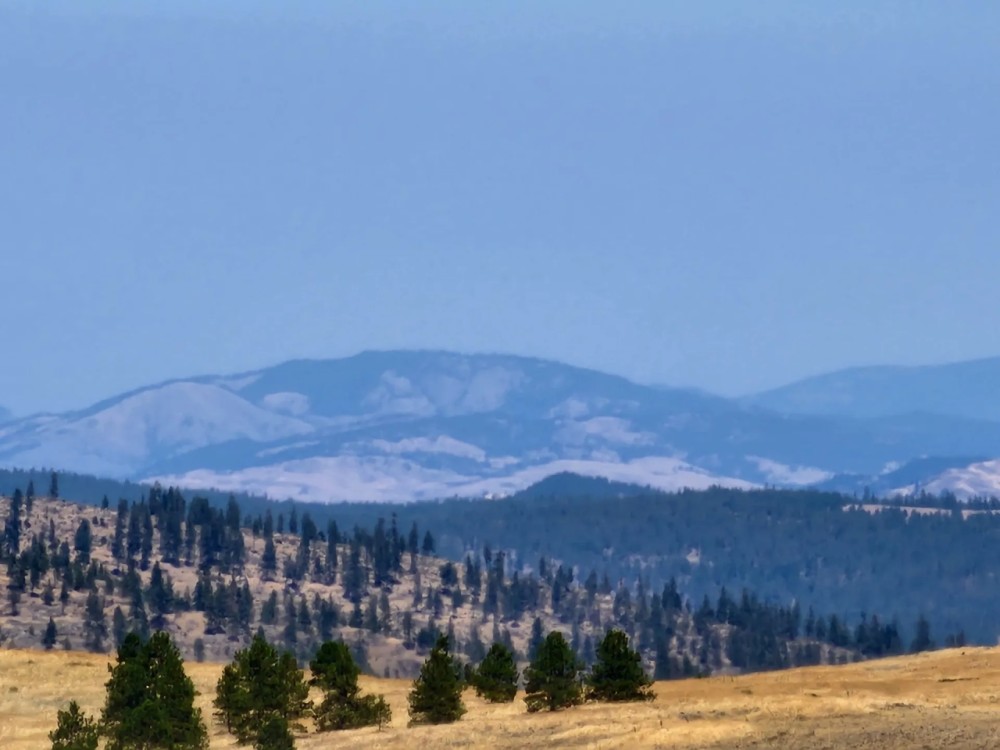 Creston Mule Deer Hideaway featured image