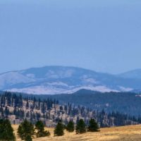 Creston Mule Deer Hideaway