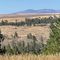 Creston Mule Deer Hideaway images 2