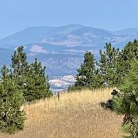 Creston Mule Deer Hideaway images 3