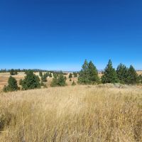 Creston Mule Deer Hideaway images 4