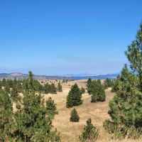 Creston Mule Deer Hideaway images 5
