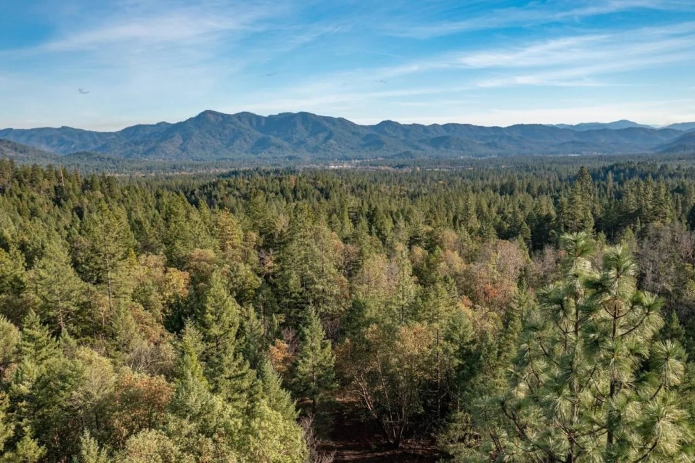 West Evans Creek Road TL204 featured image