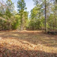 West Evans Creek Road TL204 images 2