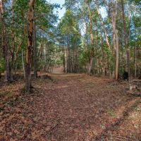 West Evans Creek Road TL204 images 3