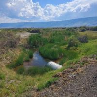 Summer Lake Wildlife Recreation