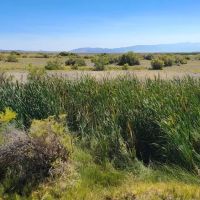 Summer Lake Wildlife Recreation images 2