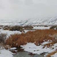 Summer Lake Wildlife Recreation images 3
