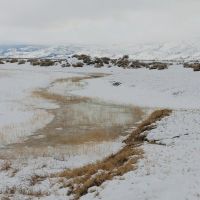 Summer Lake Wildlife Recreation images 4