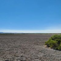 Summer Lake Wildlife Recreation images 5
