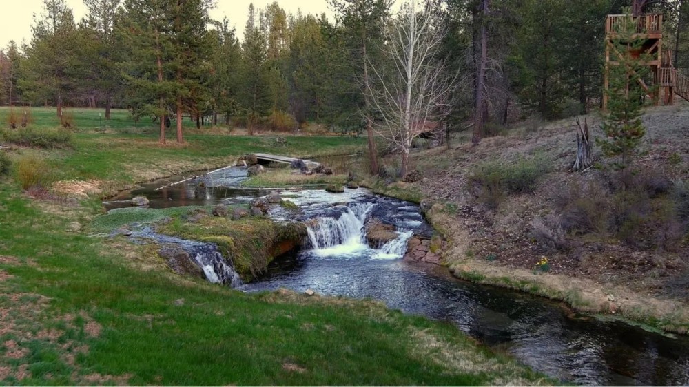 Sunnybrook Ranch featured image