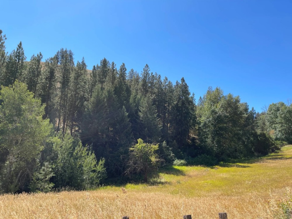 Creston Turkey Roost featured image