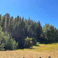 Creston Turkey Roost