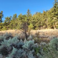 Creston Turkey Roost images 2