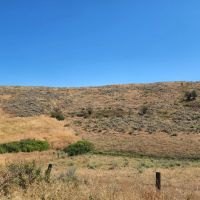 Creston Turkey Roost images 3