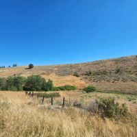 Creston Turkey Roost images 4