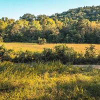Grubb Holler images 5